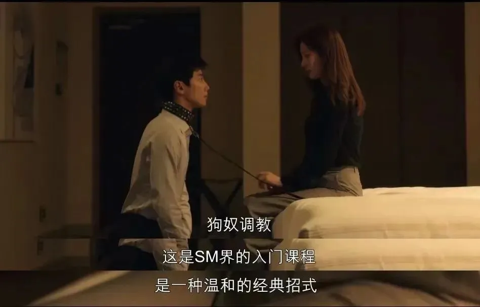 西檬之家brat属性在字母圈中的意义与实践探索 一