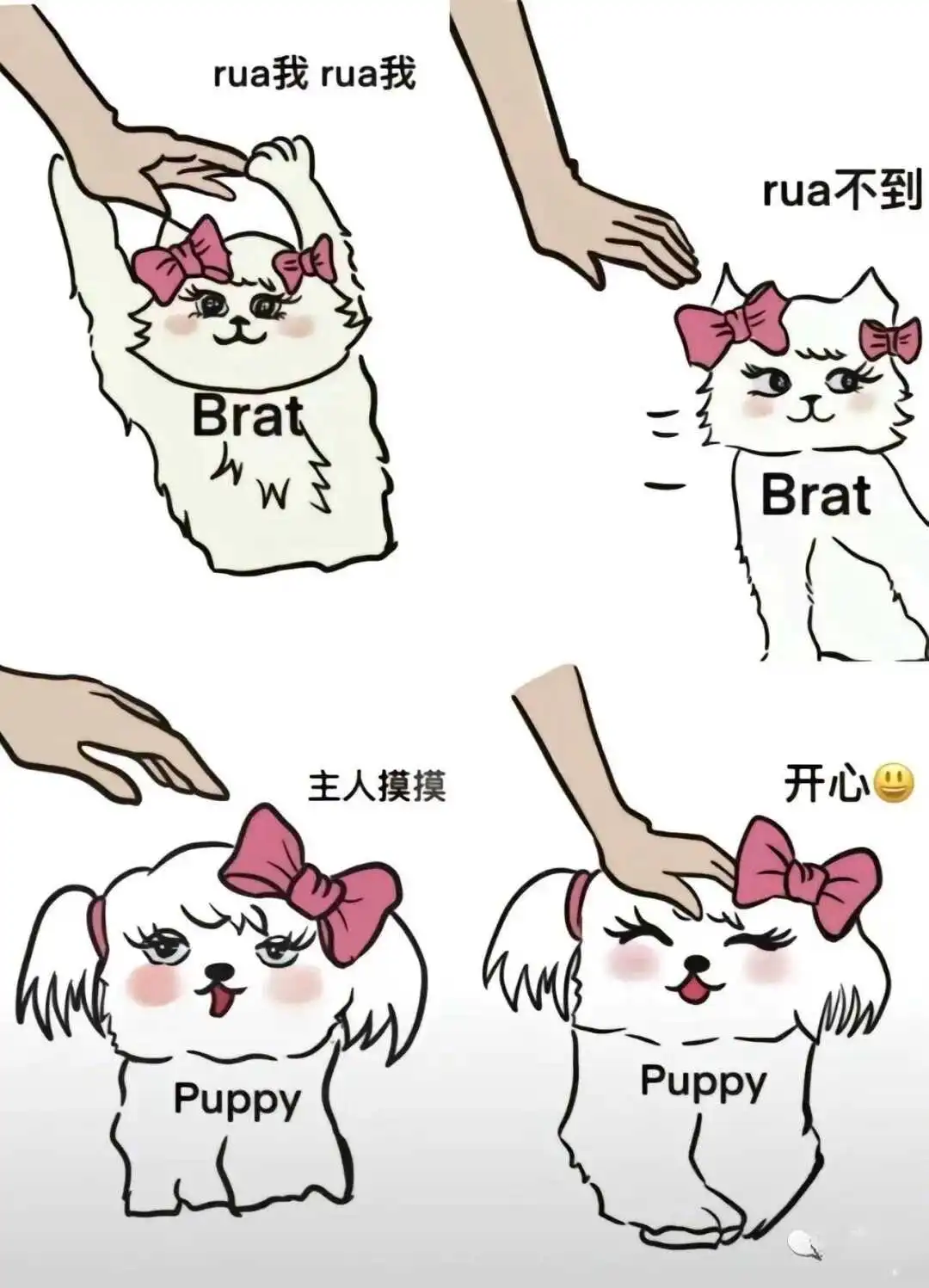 西檬之家tickle玩法是什么?探索你在字母圈中的新体验 一