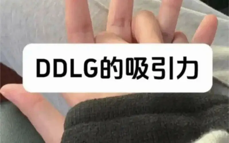 西檬之家K9是什么?揭秘字母圈中的趣味与口令! 一