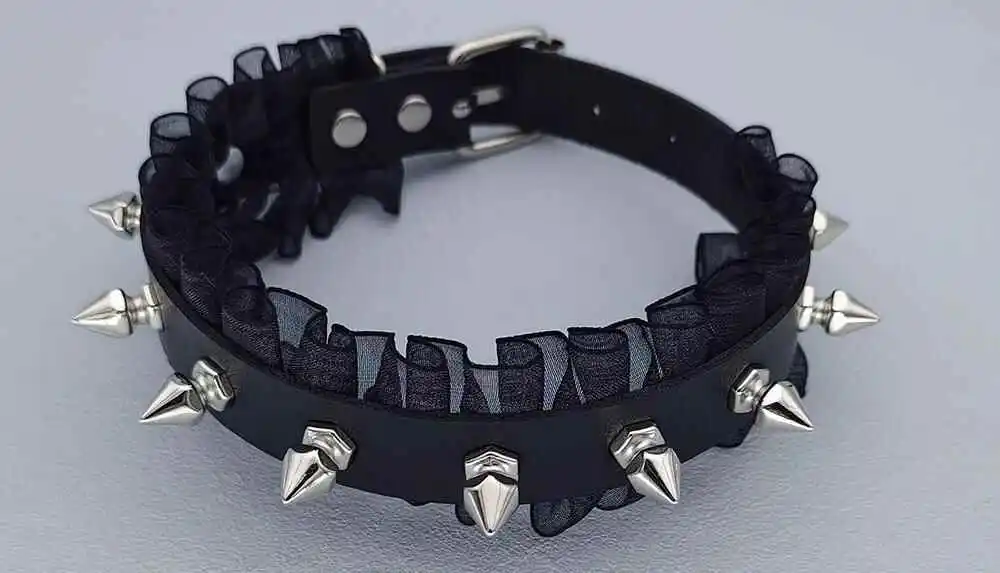 西檬之家k9犬系入门指南 一