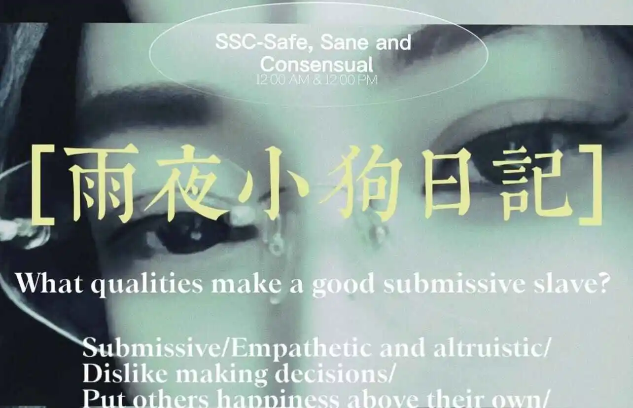 西檬之家sm亚文化新人指南 一