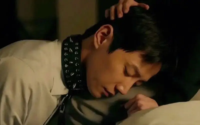 西檬之家BDSM是什么?新人如何理性入门 一