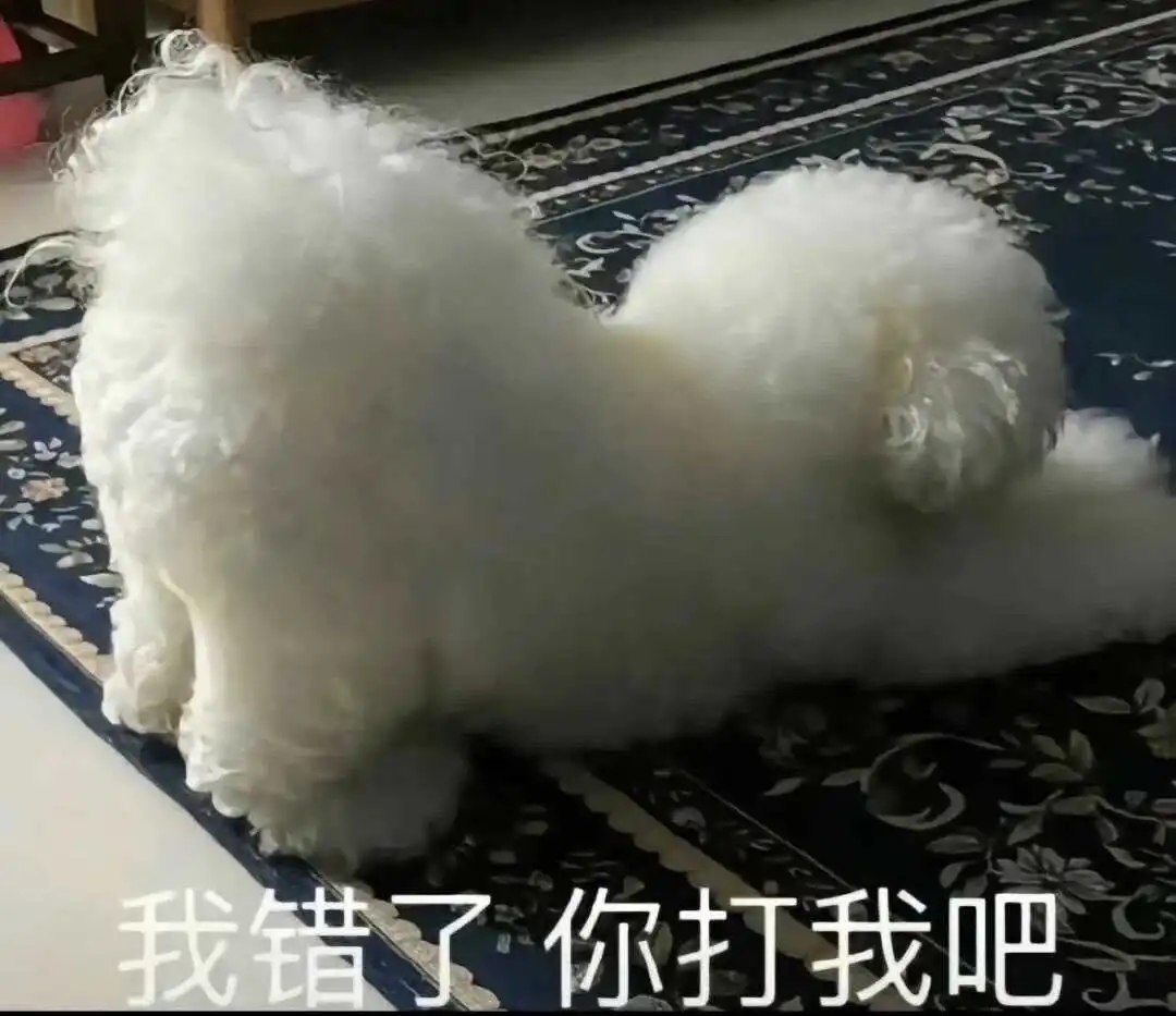 西檬之家字母圈新人如何快速入门? 一