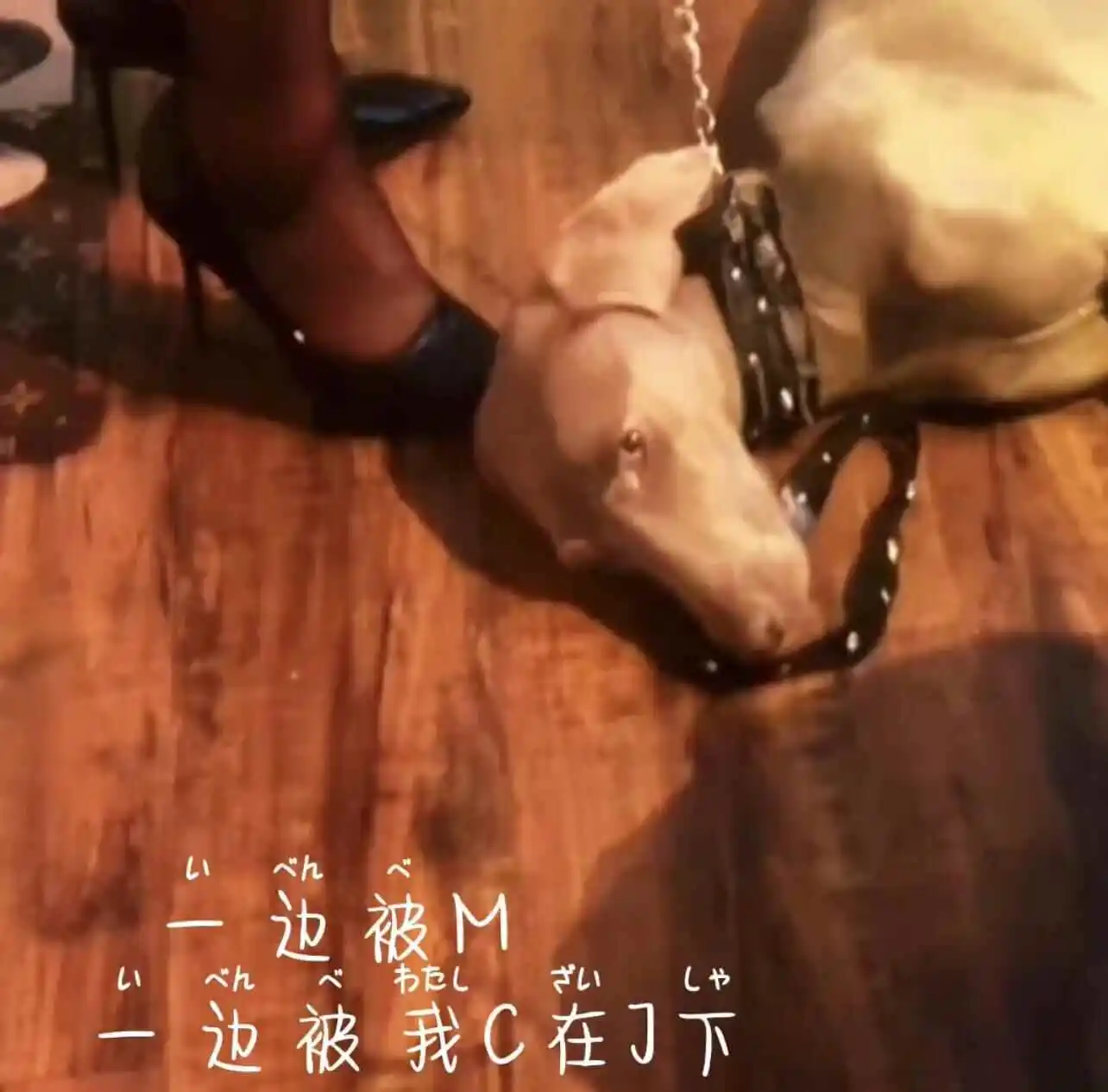 西檬之家字母圈新人如何入门? 一
