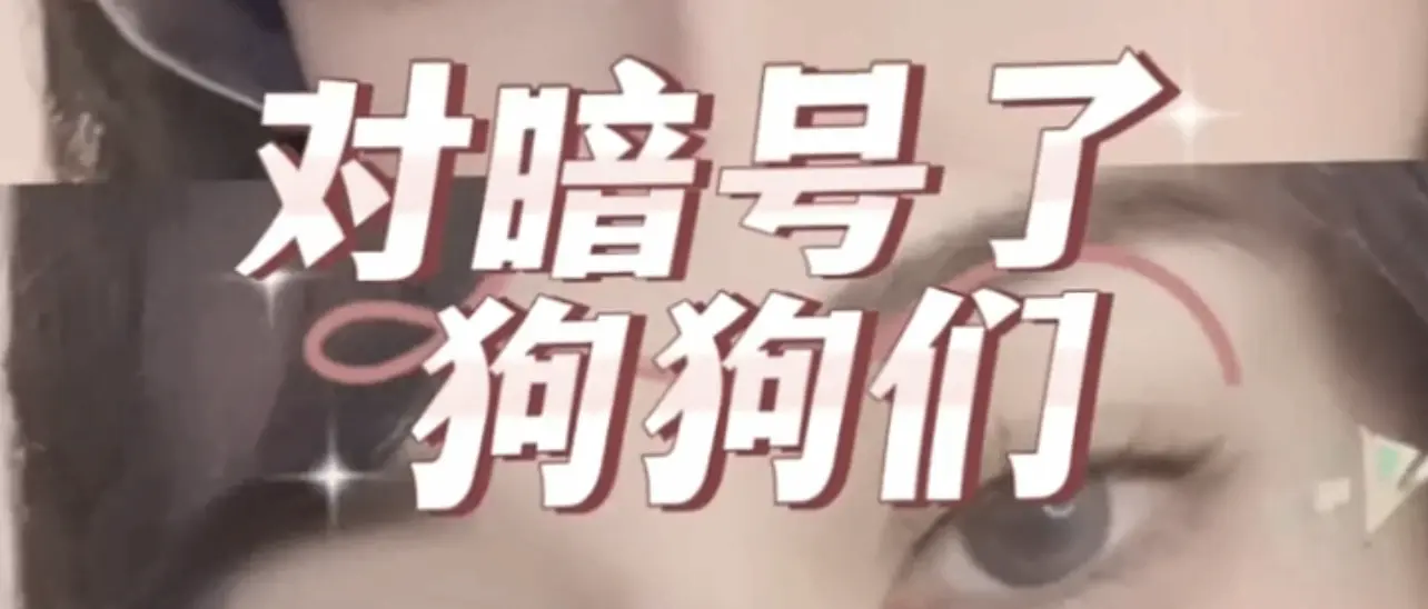 西檬之家K9犬系是什么? 一