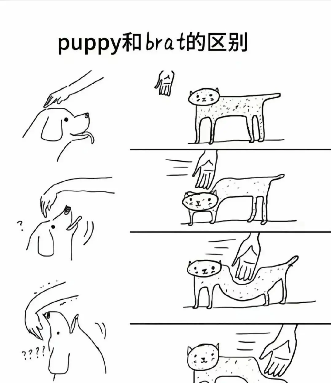西檬之家m倾向入圈指南 一