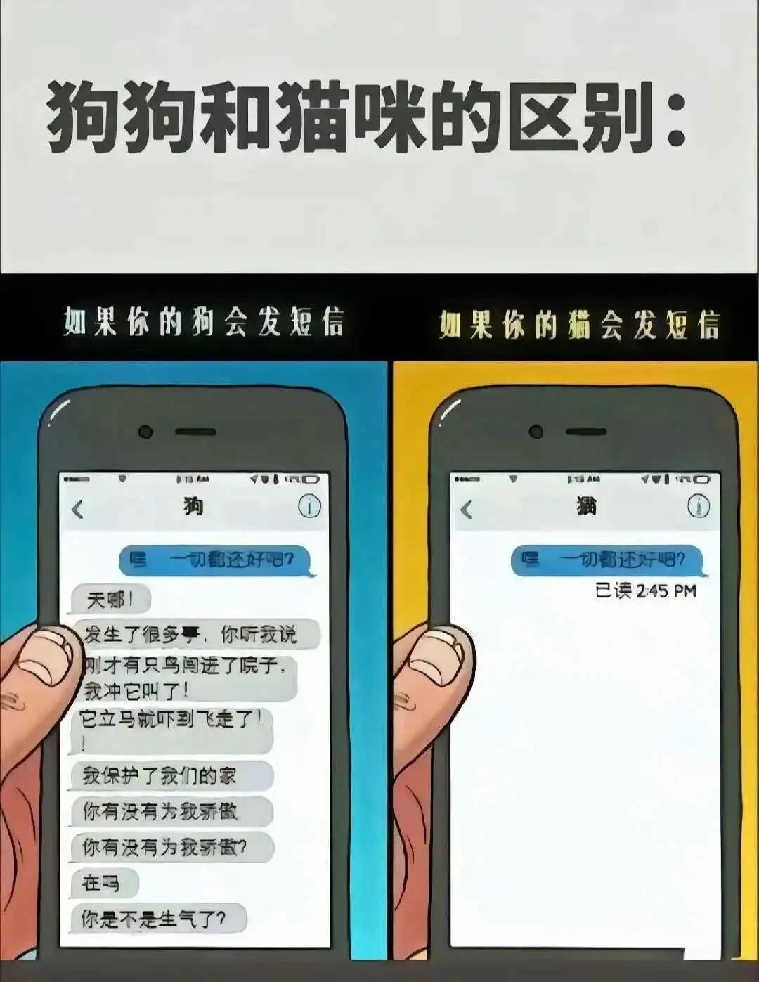 西檬之家K9犬系是什么意思? 一