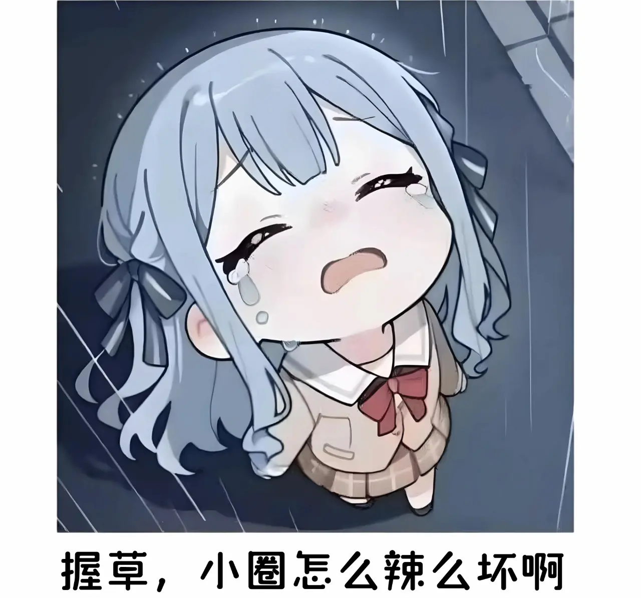 西檬之家字母圈brat属性是什么? 一